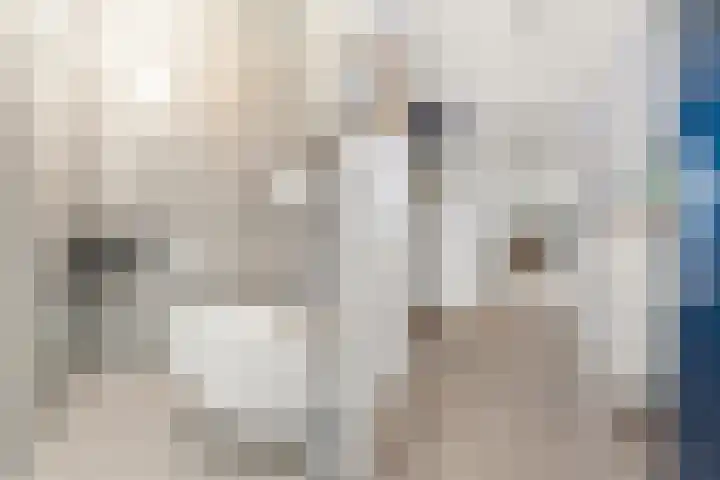 Pronkmos 5 Houten foto 3