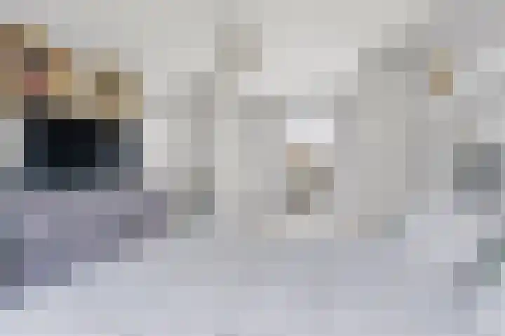 Pronkmos 5 Houten thumbnail 31