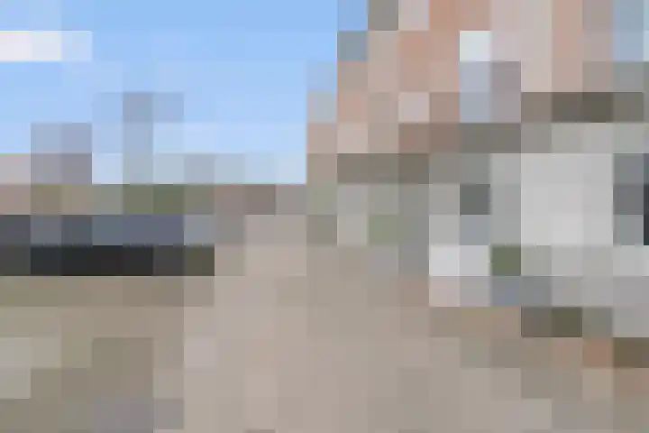 Pronkmos 5 Houten thumbnail 32