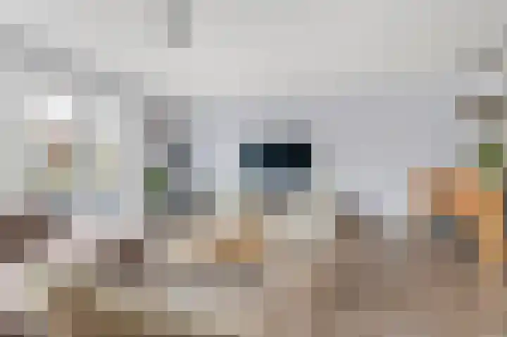 Pronkmos 5 Houten thumbnail 7