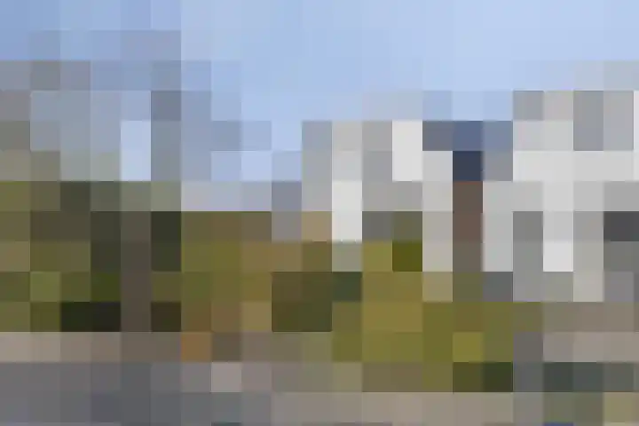 Proosdij 17 Farmsum