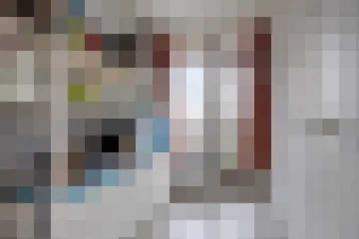 Proosdijerveldweg 101 Ede thumbnail 15