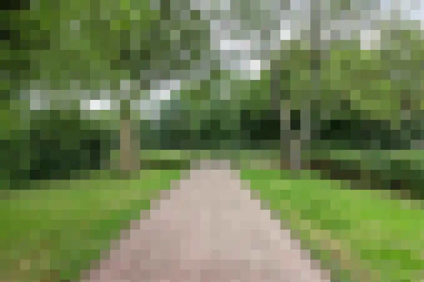 Team foto van Provier Vastgoedadviseurs B.V.