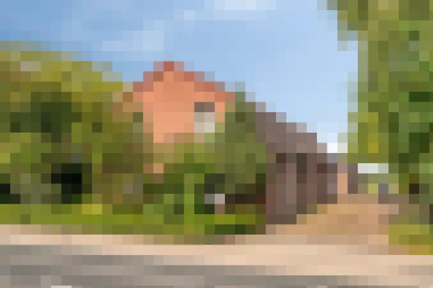 Provincialeweg 114 en Velddriel