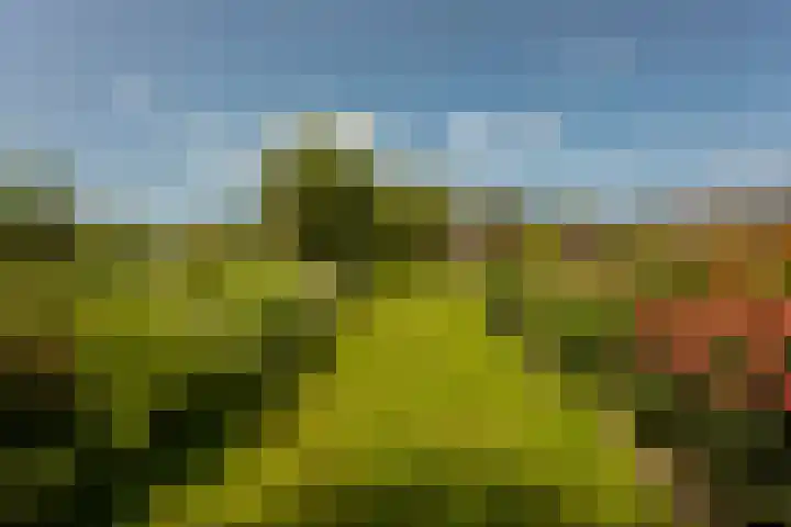 Provincialeweg 12 Amsterdam thumbnail 30