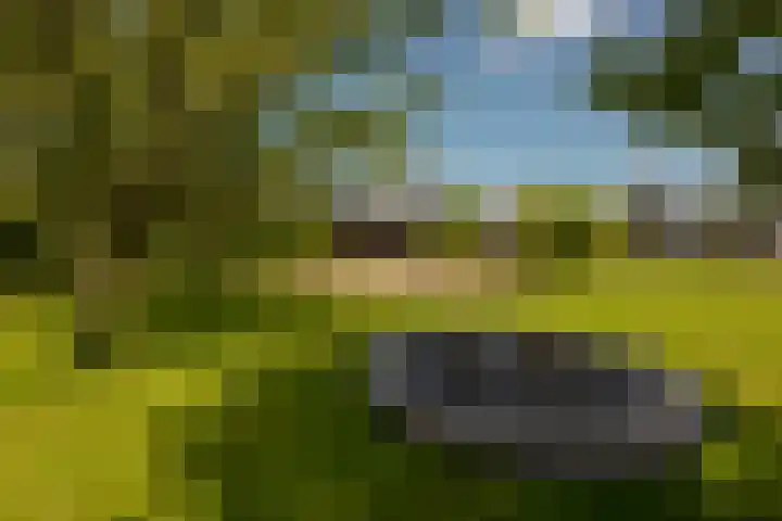 Provincialeweg 12 Amsterdam thumbnail 31