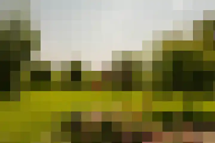 Provincialeweg 12 Amsterdam thumbnail 36