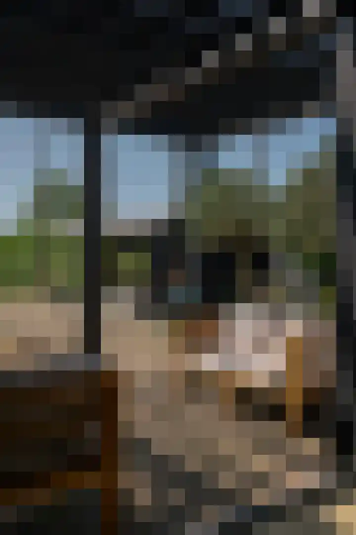 Provincialeweg 12 Amsterdam thumbnail 8