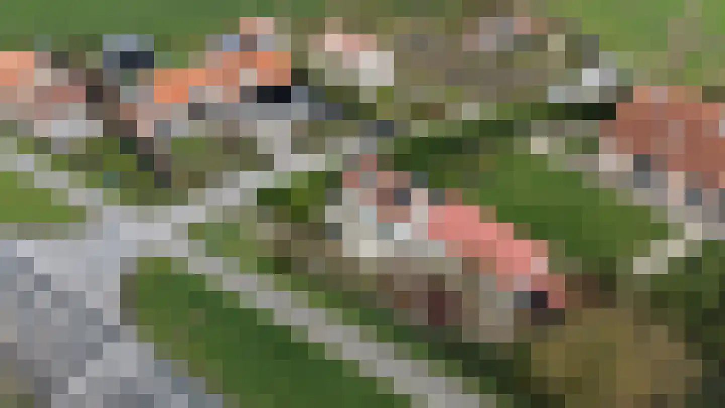 Provincialeweg 21 Groede thumbnail 25
