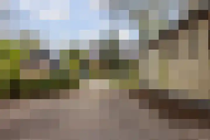 Provincialeweg 22 Opende thumbnail 38