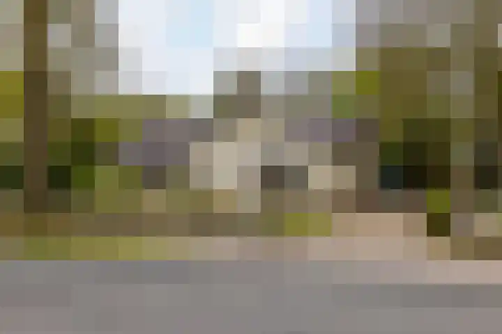Provincialeweg 22 Opende thumbnail 41