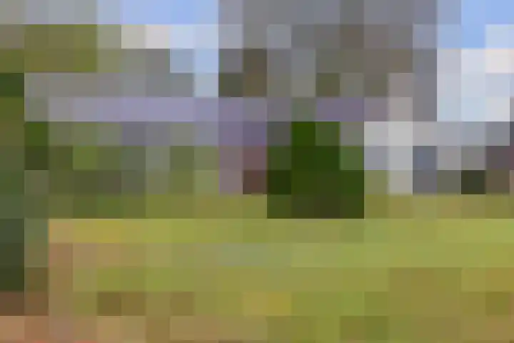 Provincialeweg 22 Opende thumbnail 44
