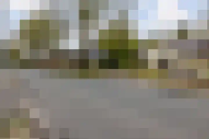 Provincialeweg 22 Opende thumbnail 48