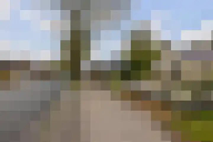 Provincialeweg 22 Opende thumbnail 50