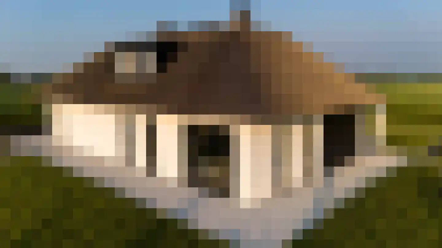Provincialeweg 3 Zuidzande thumbnail 4