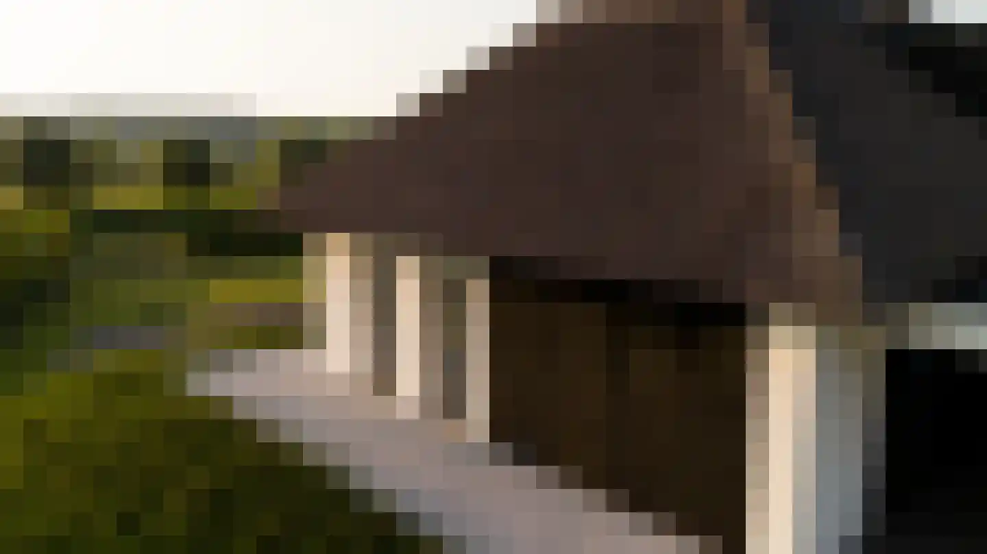 Provincialeweg 3 Zuidzande thumbnail 6