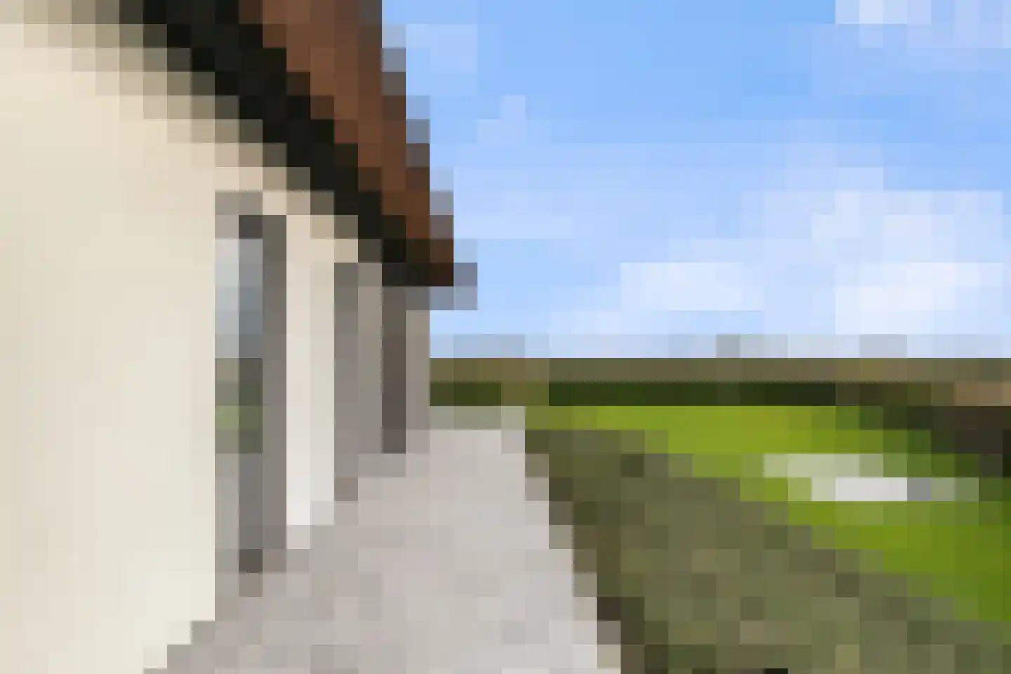 Provincialeweg 3 Zuidzande thumbnail 9