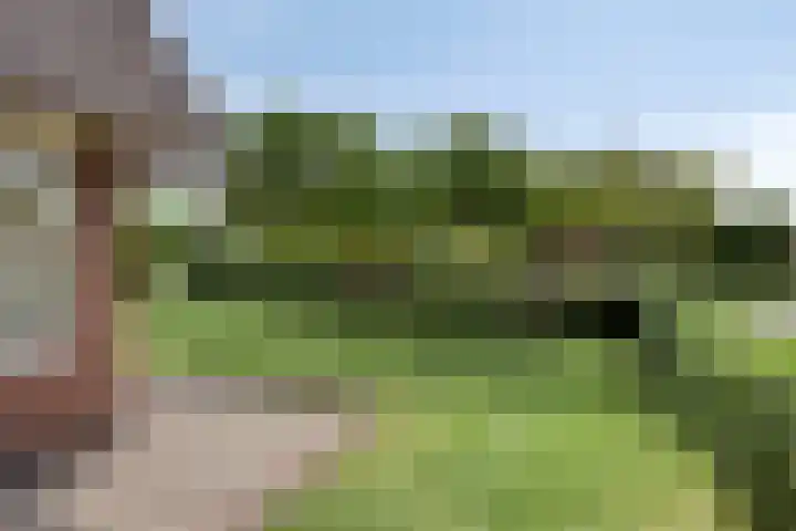 Provincialeweg 44 Heiligerlee thumbnail 10