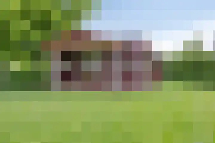 Provincialeweg 44 Heiligerlee thumbnail 59