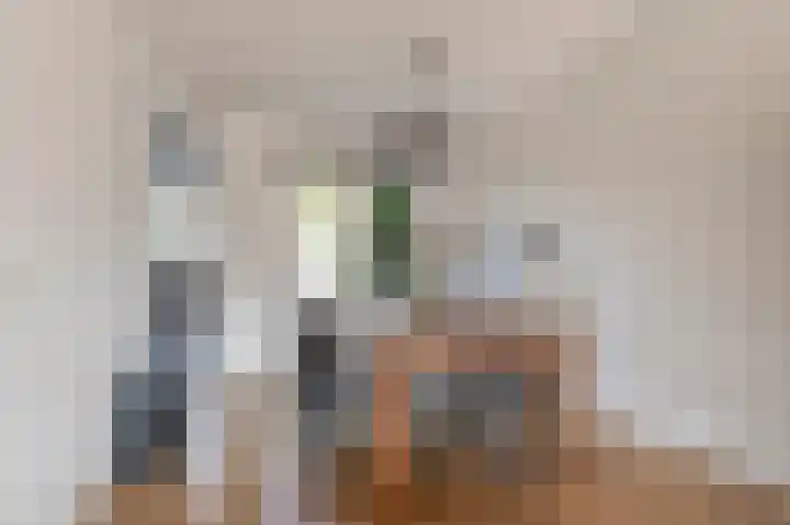 Pruimeboom 22 Culemborg thumbnail 13