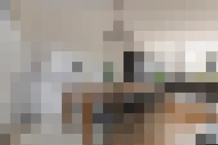 Pruimeboom 22 Culemborg thumbnail 16