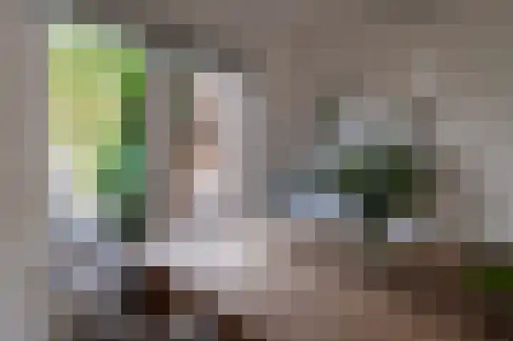 Pruimeboom 22 Culemborg thumbnail 17