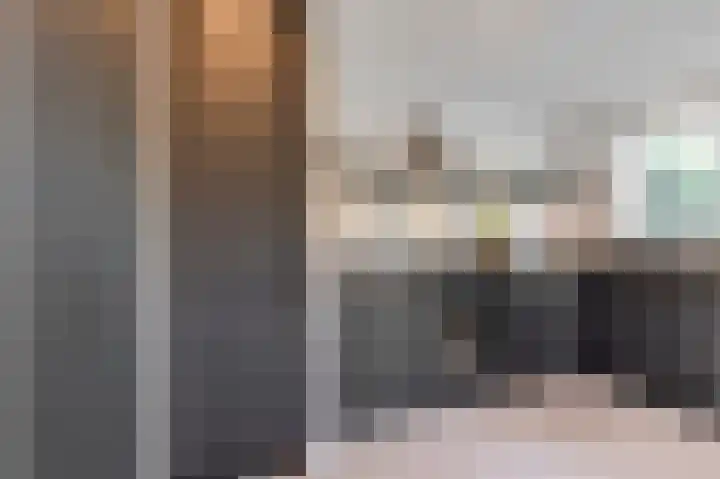 Pruimeboom 22 Culemborg thumbnail 18