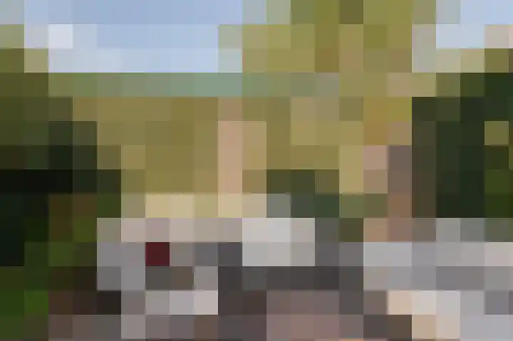 Pruimeboom 22 Culemborg thumbnail 29