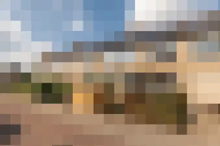 Pruimeboom 22 Culemborg thumbnail 46