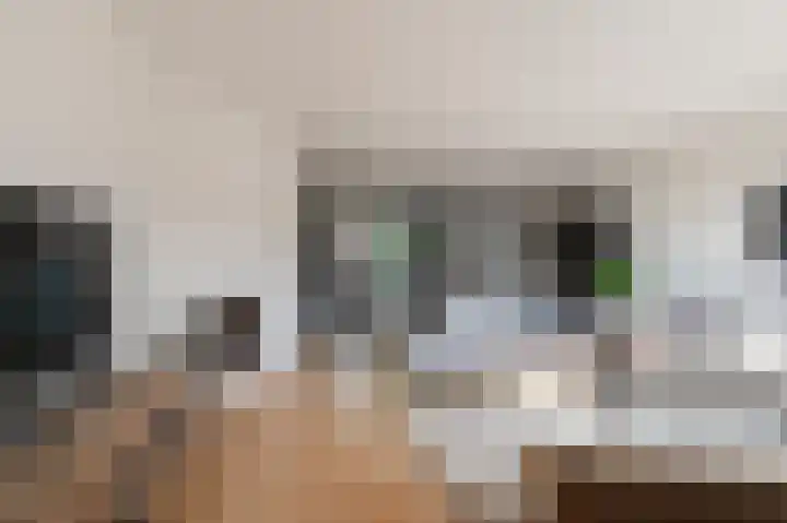 Pruimeboom 22 Culemborg thumbnail 8