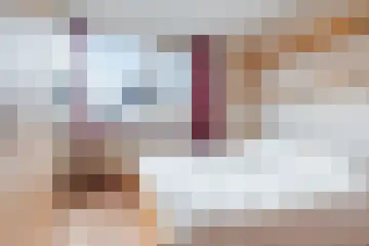 Pruimeboom 7 Culemborg thumbnail 13