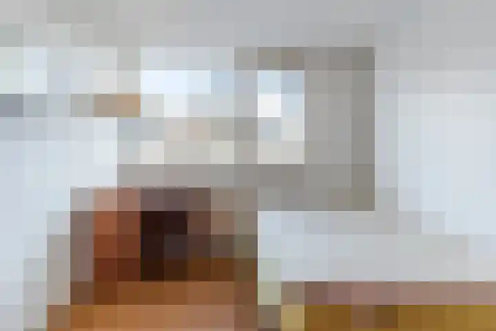 Pruimeboom 7 Culemborg thumbnail 15