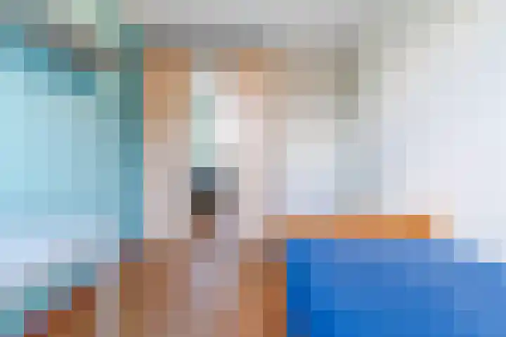 Pruimeboom 7 Culemborg thumbnail 18