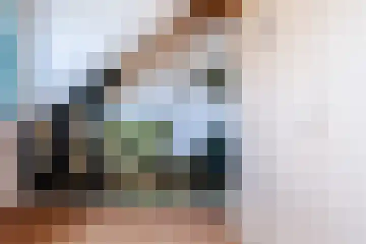 Pruimeboom 7 Culemborg thumbnail 23