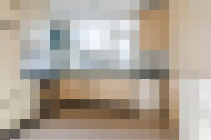 Pruimeboom 7 Culemborg thumbnail 9