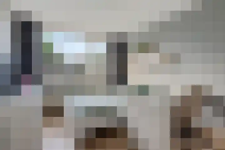 Pruimegaard 20 Zwaag thumbnail 15
