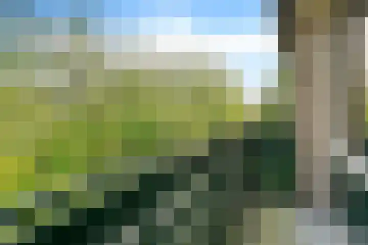 Pruimegaard 20 Zwaag thumbnail 18