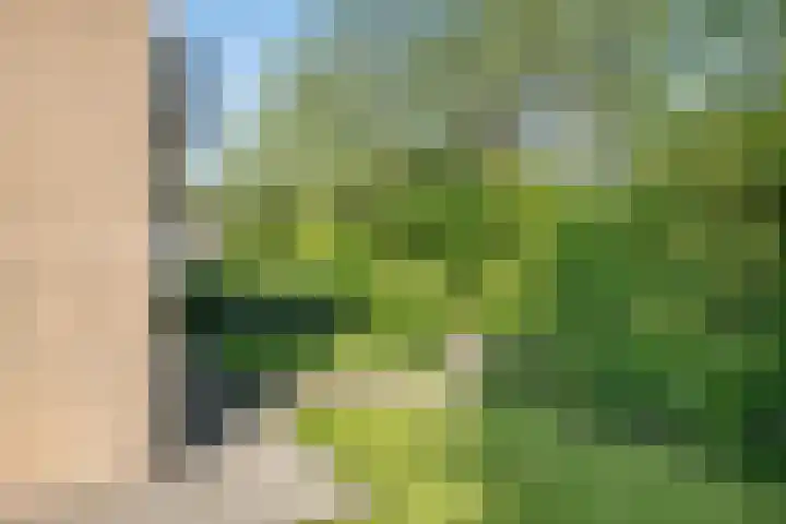 Pruimegaard 20 Zwaag thumbnail 31