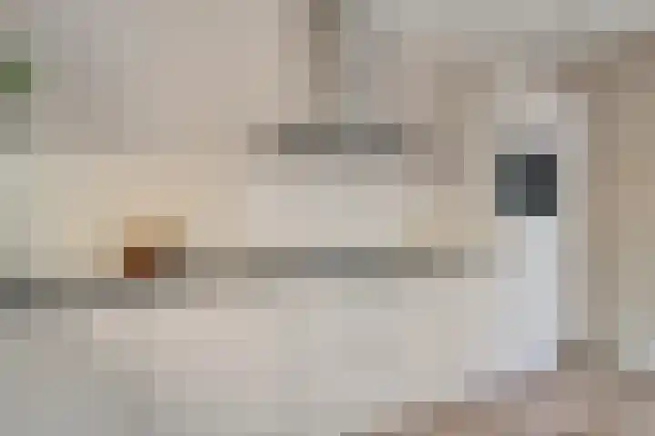 Pruimegaard 20 Zwaag thumbnail 8
