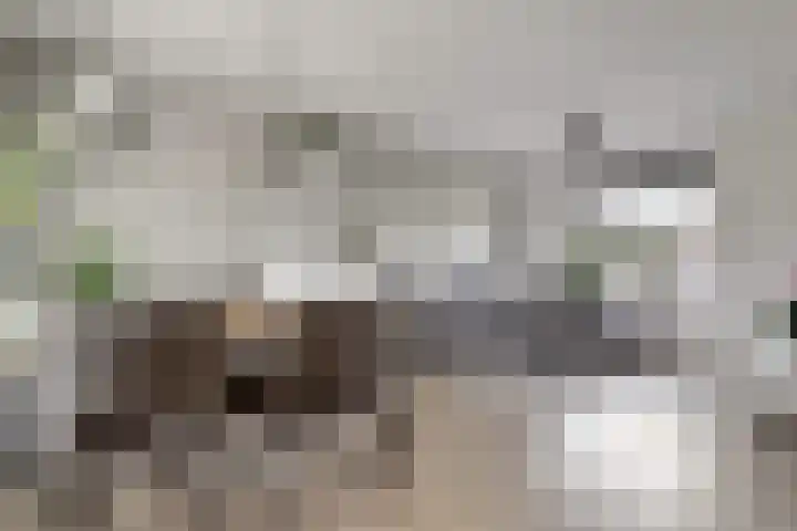 Pruimendijk 212 d Ridderkerk thumbnail 17