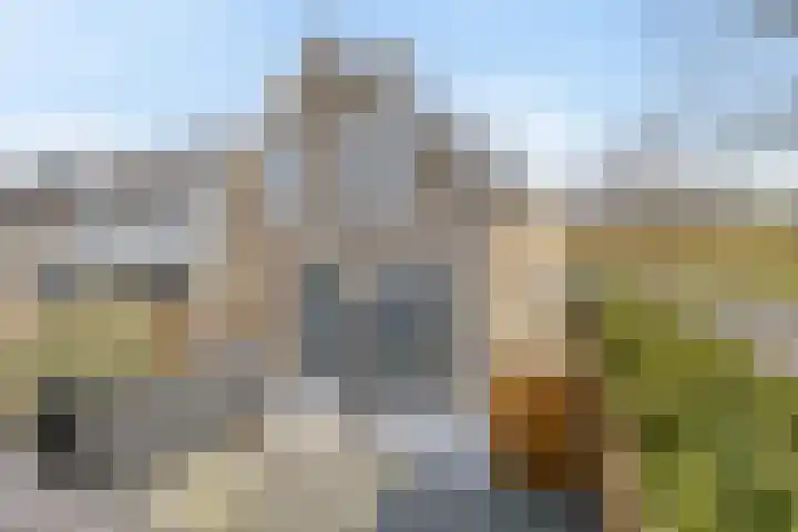 Pruimendijk 228 Ridderkerk thumbnail 24