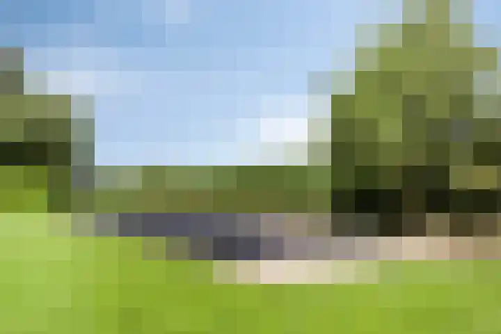 Pruimendijk 228 Ridderkerk thumbnail 4