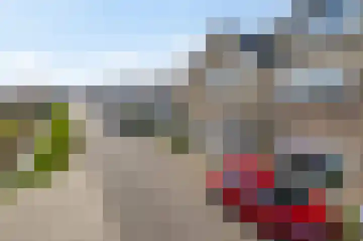 Pruimendijk 228 Ridderkerk thumbnail 8