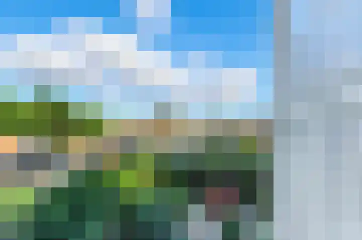 Pruimendijk 31 Ridderkerk thumbnail 17