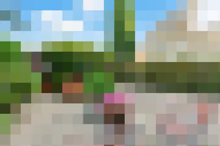 Pruimendijk 31 Ridderkerk thumbnail 40