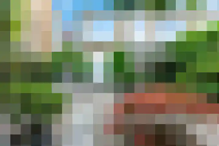 Pruimendijk 31 Ridderkerk thumbnail 41