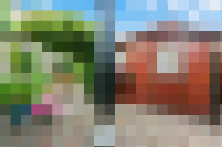 Pruimendijk 31 Ridderkerk thumbnail 43