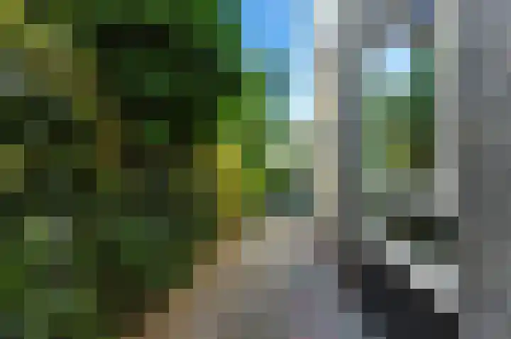 Pruimendijk 31 Ridderkerk thumbnail 49