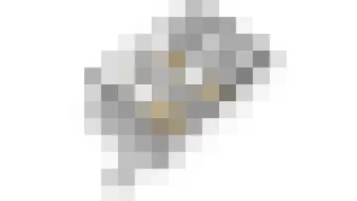 Pruimendijk 31 Ridderkerk thumbnail 60