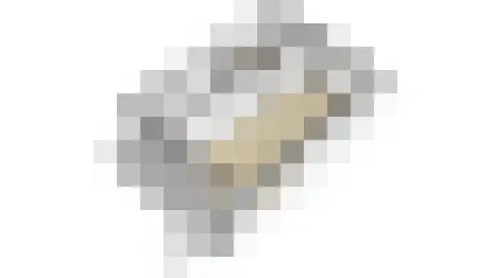 Pruimendijk 31 Ridderkerk thumbnail 62